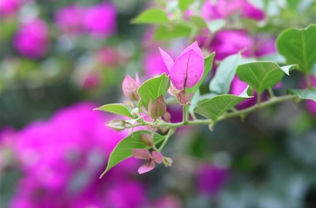 英雄联盟伤感台词