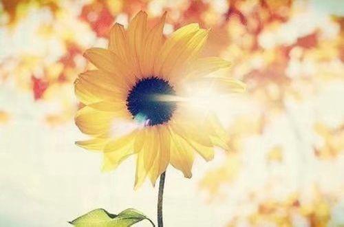 励志句子参考文