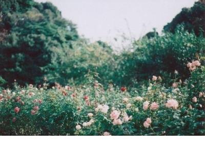 女生霸气励志文艺句子