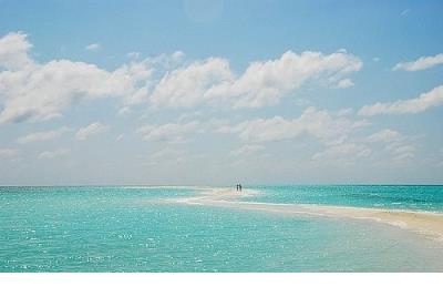 一天一句励志的句子