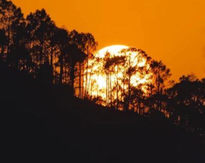 励志早安正能量的句子