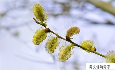 ​感性的话语简短精辟（80句比较感性经典励志）