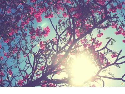 qq签名姐妹超拽霸气