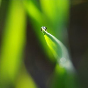 ​霸气公开恋情的朋友圈 公布恋情的说说 七夕公布对象的说说(24条)