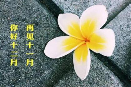 出众超拽霸气个性签名短的