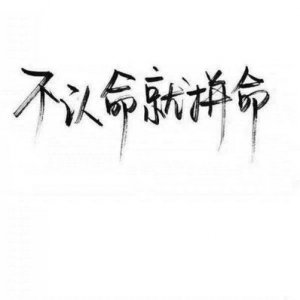 ​8个字的霸气短句 八个字的唯美句子