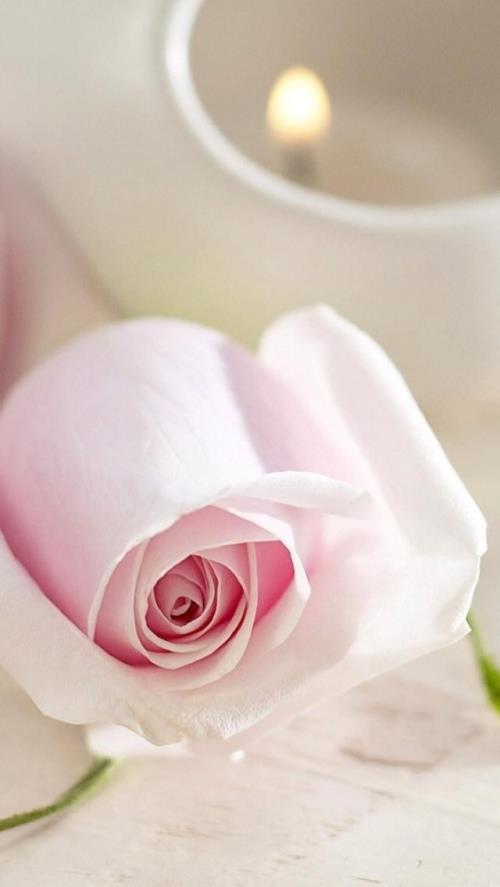 情侣签名超拽霸气一对