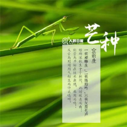 秀恩爱的情侣幸福签名