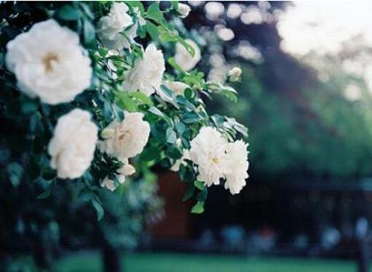 有钱就任性的霸气句子