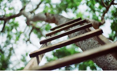 有钱就任性的霸气句子