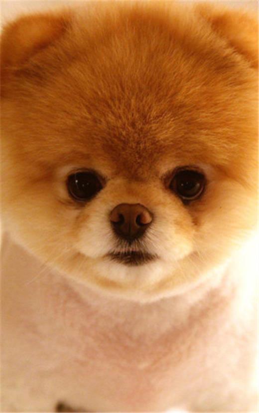 不带脏字骂人经典语句