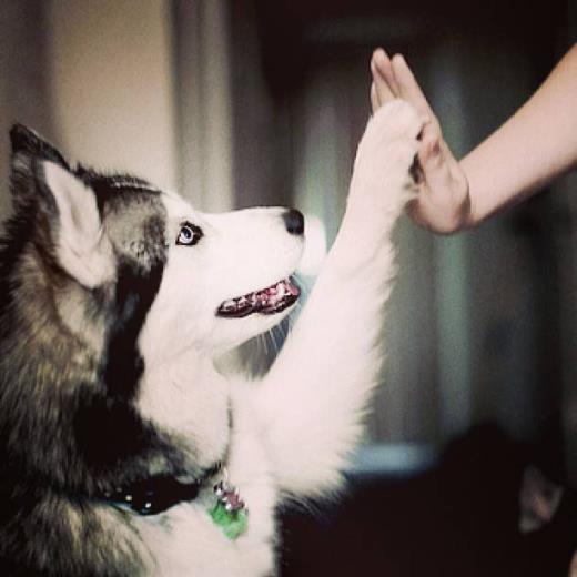 qq签名经典语句霸气