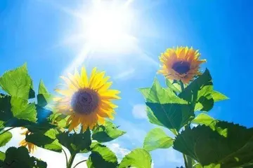 霸气战场励志的句子