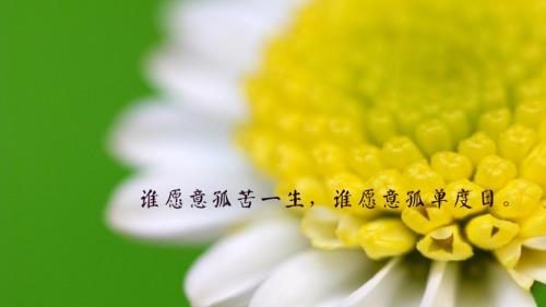 自信霸气的句子王者风范