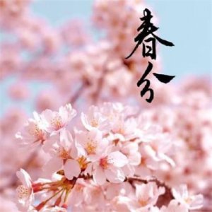 ​超拽句子女生霸气人生（适合女生超拽的句子）