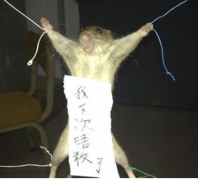 qq个性签名霸气超拽酷