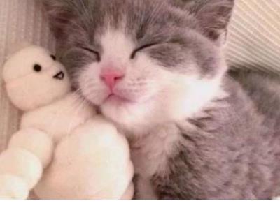 兄弟离别的句子霸气