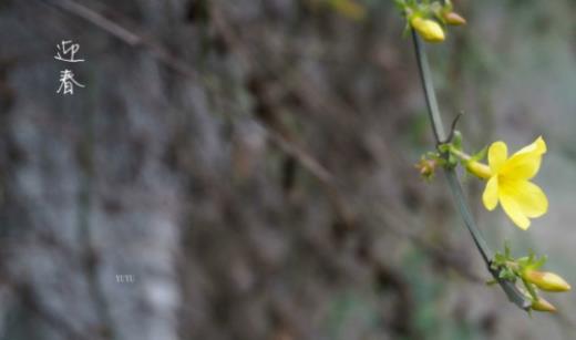 qq个性签名霸气超拽高冷