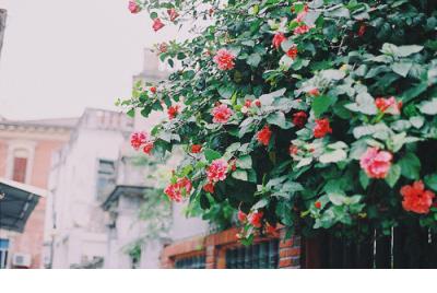 qq个性签名霸气超拽高冷