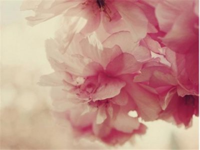 ​分手后霸气的句子[18句] (分手后的霸气句子)