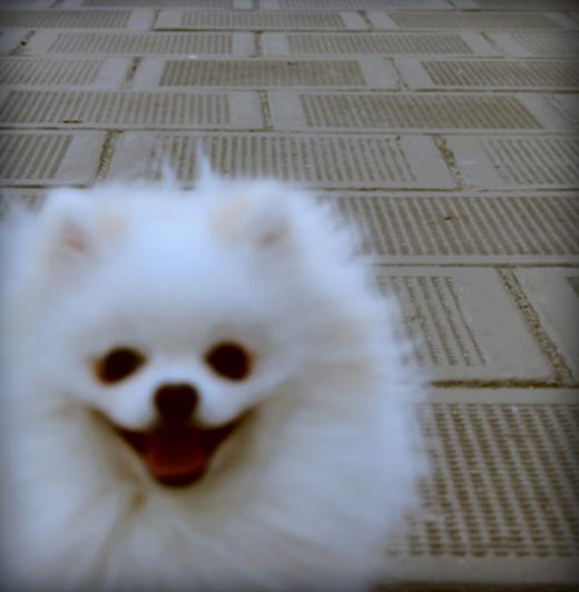 QQ空间个性签名