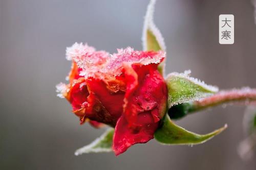 霸气骂人的句子让对方哑口无言