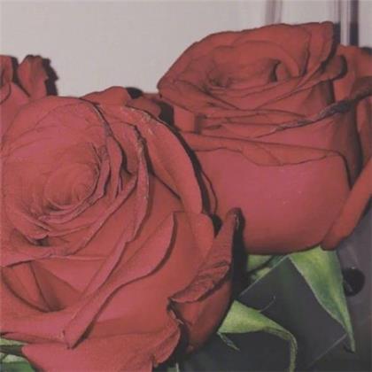 早安伤感说说心语