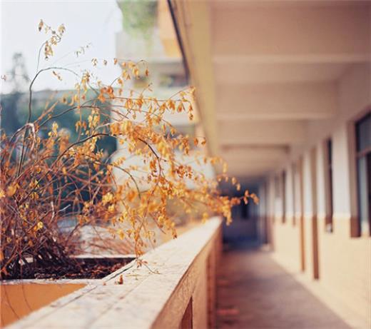 有关下雨的伤感个性签名说说