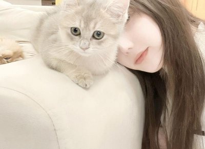 ​在其位谋其政的短句汇集50条