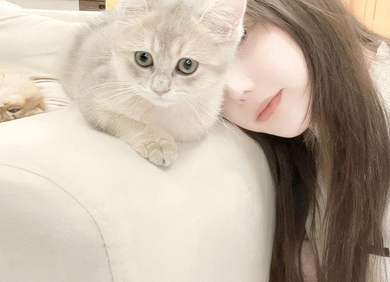  在其位谋其政的短句汇集50条