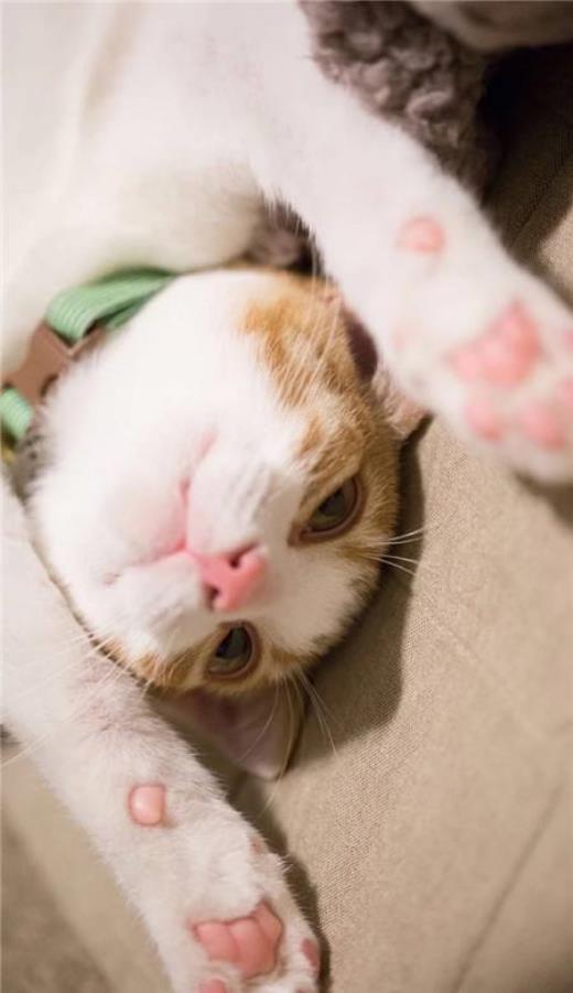 立秋文案短句干净治愈