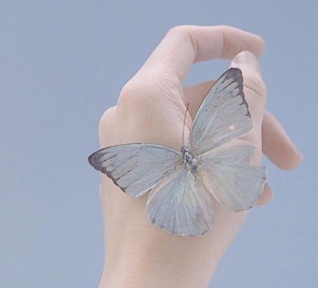 【实用】优美伤感句子锦集85条