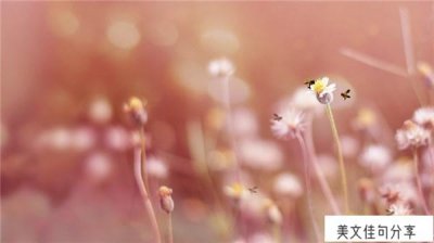 ​每天正能量的一句话短句（励志文案有涵养的句子51句）