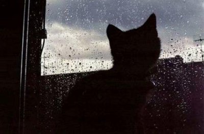 ​贴切生活励志感悟句子