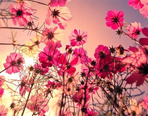 朋友圈励志心灵鸡汤句子