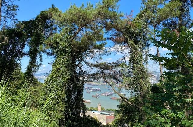 朋友圈比较励志的句子大全 发朋友圈励志正能量语录