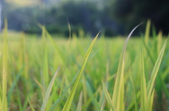 朋友圈比较励志的句子大全 发朋友圈励志正能量语录