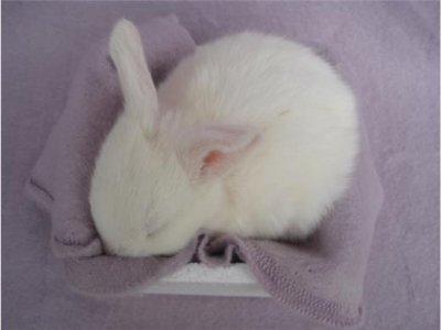 ​心灵鸡汤早安语录图片 朋友圈励志正能量语录 经典语录