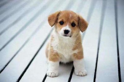 ​霸气青春的励志句子