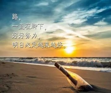 ​不惧风雨的励志句子