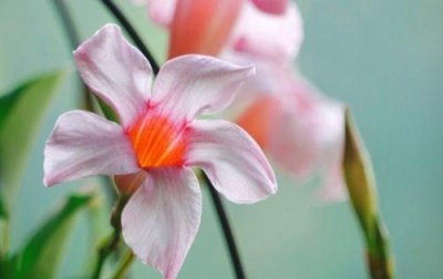 ​对友情的感慨句子