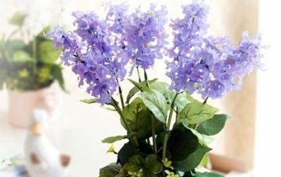 ​成熟稳重的经典句子(71句)