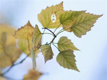 抖音酷到爆的句子