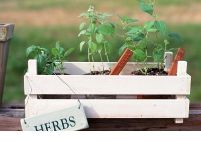 依赖一个人的经典句子