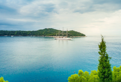 ​感恩公司的句子经典语录(感谢领导的话简短精辟)