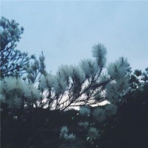 ​关于外国名著的好词好句[48条]