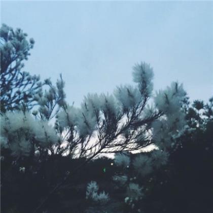 关于外国名著的好词好句