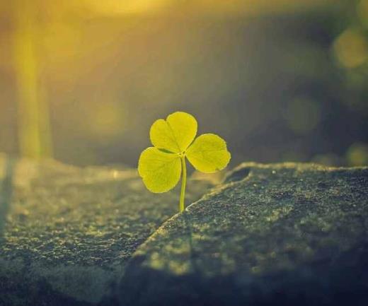 护士送孕妇母亲节的话