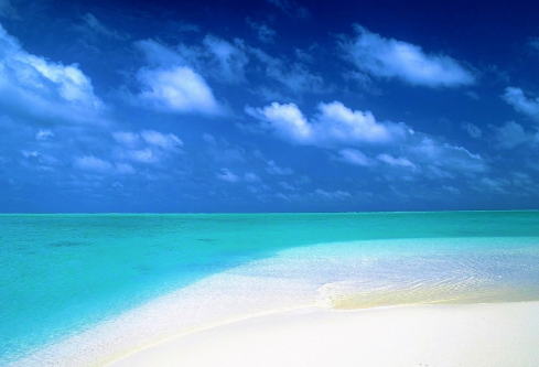 1687311068989085.png image.png