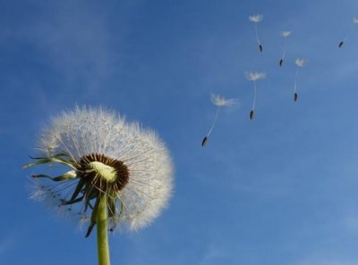 ​一路走好天堂里的句子